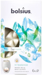 Bolsius Bolsius True Moods Płatki zapachowe In Balance 6szt - Zapachy do domu - miniaturka - grafika 2