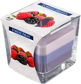 Świece - Bispol Świeczka w szkle Tęcza Owoce leśne, 170 g (św8) - miniaturka - grafika 1