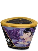Olejki i świece do masażu - Shunga (CAN) Shunga (CAN) Shunga - Libido Massage Candle 170 ml 6_3527 - miniaturka - grafika 1