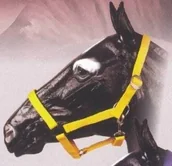 Kantary dla koni - Mustang Kantar nylonowy - Mustang 0001 - miniaturka - grafika 1