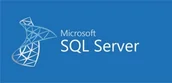 Oprogramowanie serwerowe - Microsoft MicrosoftSQLServerStandardEdition 2019 Government OLP 1License 228-11487 - miniaturka - grafika 1