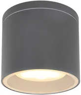 Lampy ogrodowe - Globo Lighting Alcala Ogrodowa Globo Lighting 32063A - miniaturka - grafika 1