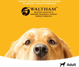 Pedigree Adult mokra karma dla psów z wołowiną w galaretce 12x400g 44861-uniw - Mokra karma dla psów - miniaturka - grafika 8