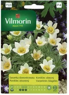 Nasiona i cebule - Vilmorin Nasiona sasanka dzwonkowata biała - miniaturka - grafika 1