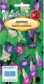Nasiona i cebule - Legutko Asarina mieszanka - miniaturka - grafika 1