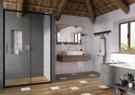 Ścianki i drzwi prysznicowe - Ravak Blix Slim Drzwi przesuwne 100x195 cm profile czarne szkło przezroczyste X0PMA0300Z1 - miniaturka - grafika 1