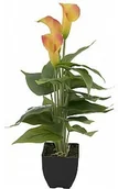 Sztuczne kwiaty - Europalms EUROPALMS Mini Calla, sztuczna roślina, żółto-pomarańczowy, 43 cm 82540346 - miniaturka - grafika 1