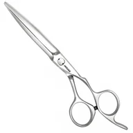 Nożyczki fryzjerskie - Jaguar Gold Line Heron nożyczki fryzjerskie, rozmiar 5.5 (25055) 15979 - miniaturka - grafika 1