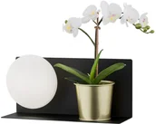 Lampy ścienne - Argon Kinkiet 9W LED z półką CALVIA 4242 - miniaturka - grafika 1