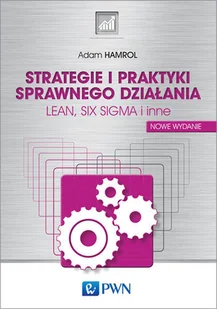 Strategie i praktyki sprawnego działania - Rozwój osobisty - miniaturka - grafika 2