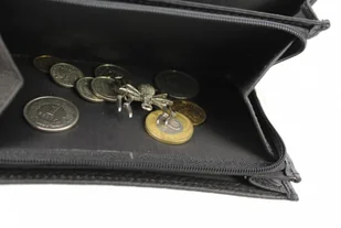 PolskaGalanteria.pl Portfel Damski PolskaGalanteria Z Wstawką Długi Suwak Skóra Naturalna CZARNY WZÓR I D14-WST - Portfele - miniaturka - grafika 7