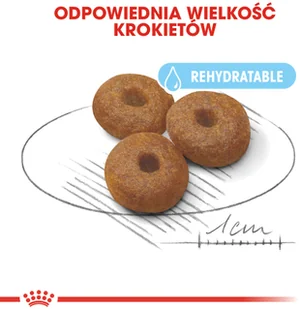 Royal Canin Maxi Starter Mother&Babydog 15kg + Pojemnik na karmę 42L - Mokra karma dla psów - miniaturka - grafika 5