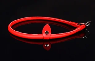 dr Seidla ZOO LESZCZ (PL) Solidna Dla Psa Okrągła Skóra Naturalna 8 mm / 50 cm ZLO965 ZOO LESZCZ (PL) - Smycze dla psów - miniaturka - grafika 5