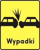 Wyposażenie miejsc publicznych - tabliczka T-14a - miniaturka - grafika 1