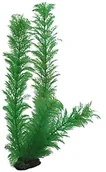 Dekoracje do akwarium - Hobby wing 41512 egeria, 34 cm - miniaturka - grafika 1