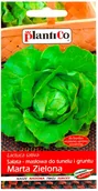 Nasiona i cebule - Plantico Sałata masłowa Marta zielona - miniaturka - grafika 1