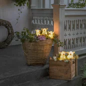 Lampy ogrodowe - Konstsmide SEASON Figurka świetlna LED Świnka, 5 sztuk jako łańcuch - miniaturka - grafika 1