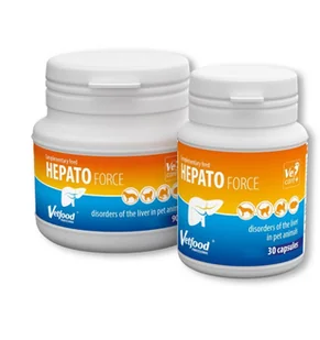 Vetfood Hepatoforce Gel (30 ml) - Suplementy i witaminy dla psów - miniaturka - grafika 2