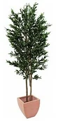 Sztuczne drzewka - Europalms Europalms Olive Tree with fruits, 2-trunks, 250cm, Sztuczne drzewo 82506418 - miniaturka - grafika 1