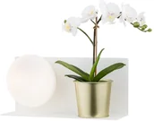 Lampy ścienne - Argon Kinkiet 9W LED z półką CALVIA 4241 - miniaturka - grafika 1