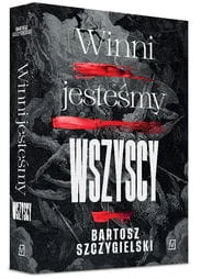 Winni jesteśmy wszyscy - Thrillery - miniaturka - grafika 3