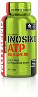 Odżywki białkowe - Nutrend Inosine 100 kaps - miniaturka - grafika 1
