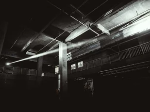 Fenix Latarka laserowa TK30 039-420 - Latarki - miniaturka - grafika 22