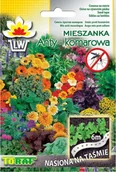 Nasiona i cebule - Toraf TAŚMY Mieszanka ANTY Komarowa 6m nasiona 01418 - miniaturka - grafika 1