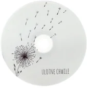 Nośniki danych - Płyta DVD TS dmuchawce (DVD-R 4,7GB 16x) - miniaturka - grafika 1