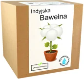 Nasiona i cebule - Zestaw do Uprawy Bawełna indyjska nasiona ozdobna - miniaturka - grafika 1