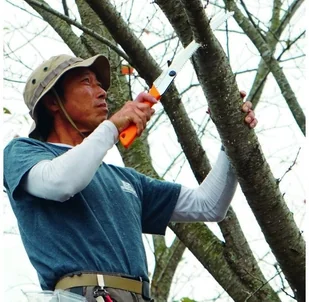 Silky Piła ręczna składana Silky Gomboy Curve 270-8 300-035 - Survival - akcesoria - miniaturka - grafika 2