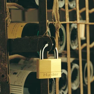 VSA Van Spijk Master Lock Kłódka, trwały mosiądz, 40 mm, 140EURD - Zamki i wkładki - miniaturka - grafika 2