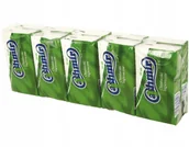 Chusteczki higieniczne - Chusteczki higieniczne 10x10 eco zielone - miniaturka - grafika 1