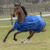 Derki dla konia - Bucas Derka padokowa 150g SMARTEX MEDIUM - Bucas - miniaturka - grafika 1