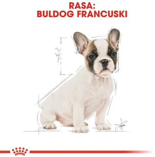 Royal Canin French Bulldog Junior 10kg Opakowanie uszkodzone 426) ! 257530 - Mokra karma dla psów - miniaturka - grafika 9