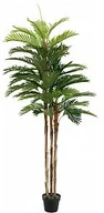 Sztuczne drzewka - Europalms EUROPALMS Kentia palma, sztuczna roślina, 180 cm 82511367 - miniaturka - grafika 1