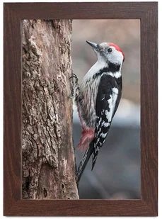 Styler Ramka 30X40 BERGEN AH czarna RST30BERG(3) - Ramki na zdjęcia - miniaturka - grafika 2