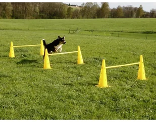 Kerbl Zestaw akcesoriów do tresury psa 2-w-1, żółty, 81994 - Zabawki dla psów - miniaturka - grafika 4