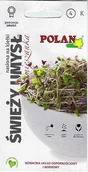 Nasiona na kiełki - Polan Nasiona na kiełki Mieszanka Świeży Umysł 100400 - miniaturka - grafika 1