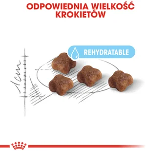 Royal Canin Mother&Babycat 2 kg - Sucha karma dla kotów - miniaturka - grafika 5