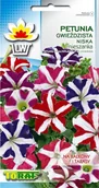 Nasiona i cebule - Toraf KWIATY Petunia gwieździsta mix nasiona 0,1g 00456 - miniaturka - grafika 1