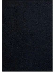 Fellowes Karton Delta A4 Czarny 100 Szt. - Artykuły biurowe - miniaturka - grafika 3