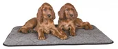 Legowiska dla psów - Trixie Mata grzewcza 90×70cm szara TX-28694 - miniaturka - grafika 1
