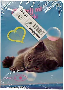 Inter-druk Zeszyt A5 32k. - linia - Zeszyty szkolne - miniaturka - grafika 11