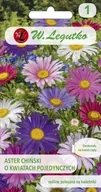 Nasiona i cebule - Legutko Aster chiński - Madeleine - mieszanka 5903837063109 - miniaturka - grafika 1