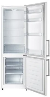 Lodówka Hisense RB343D4DWF - Lodówki - miniaturka - grafika 2