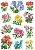 Dodatki do drukarek i skanerów - Herma Naklejki/Etykieta na biżuterię Decor górski kwiaty 3blatt/1 Pack 3582 - miniaturka - grafika 1