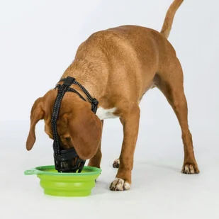 Trixie TRIXIE Kaganiec dla psa Muzzle Flex, rozmiar L, 17614 - Kagańce dla psów - miniaturka - grafika 5