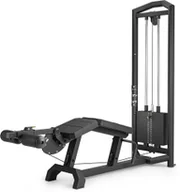 Atlasy do ćwiczeń - UpForm Dwugłowy uda leżąc UF-023 - 1009576 - miniaturka - grafika 1