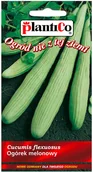 Nasiona i cebule - Plantico Ogórek Melonowy - miniaturka - grafika 1